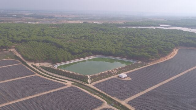 Balsa de riego en Doñana. WWF