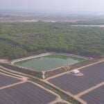 Balsa de riego en Doñana. WWF