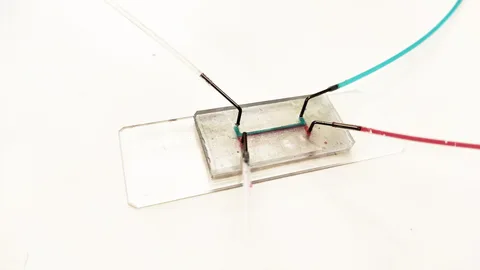 El nuevo biochip