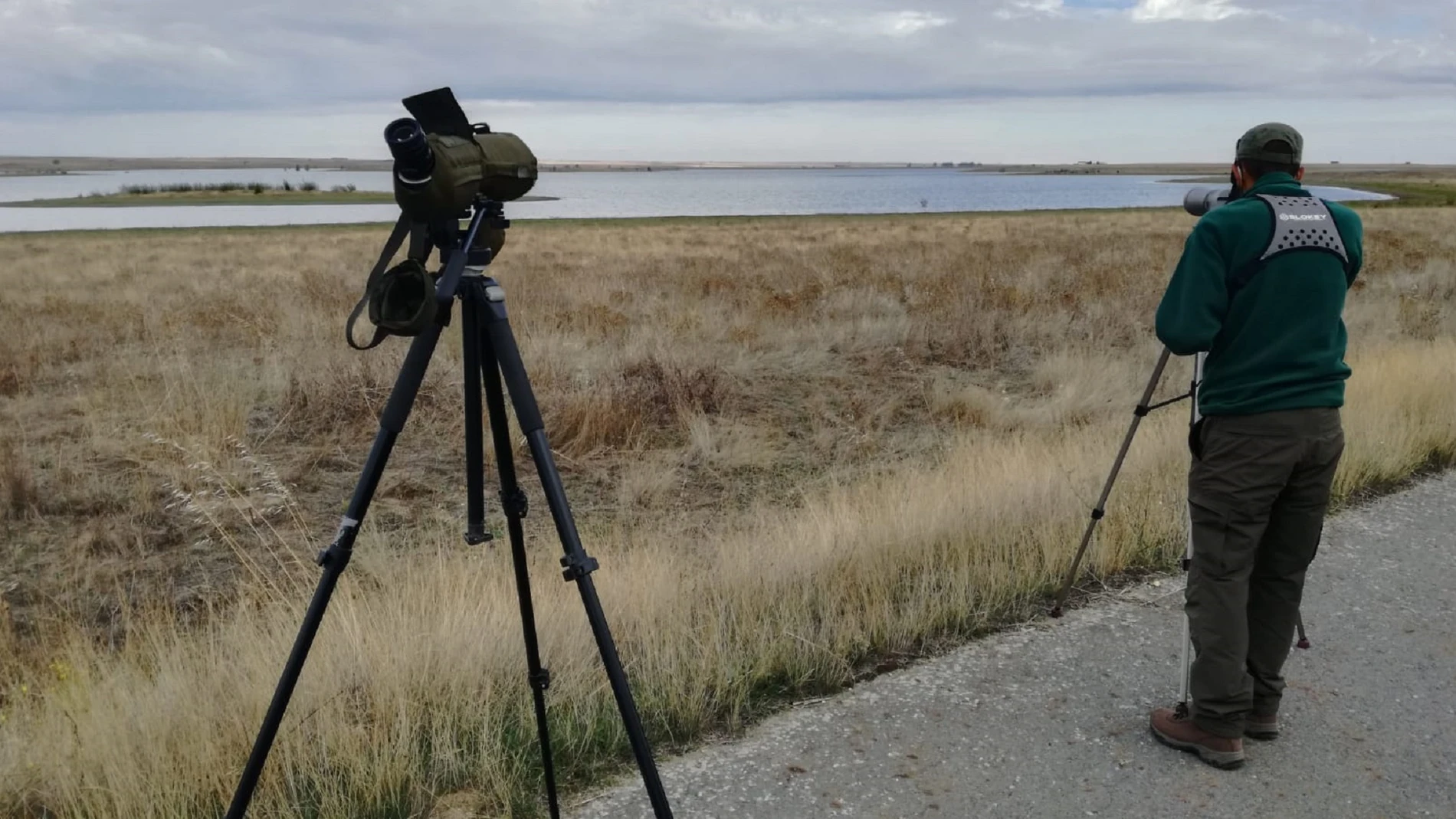 Observación de aves en uno de los humedales de Castilla y León