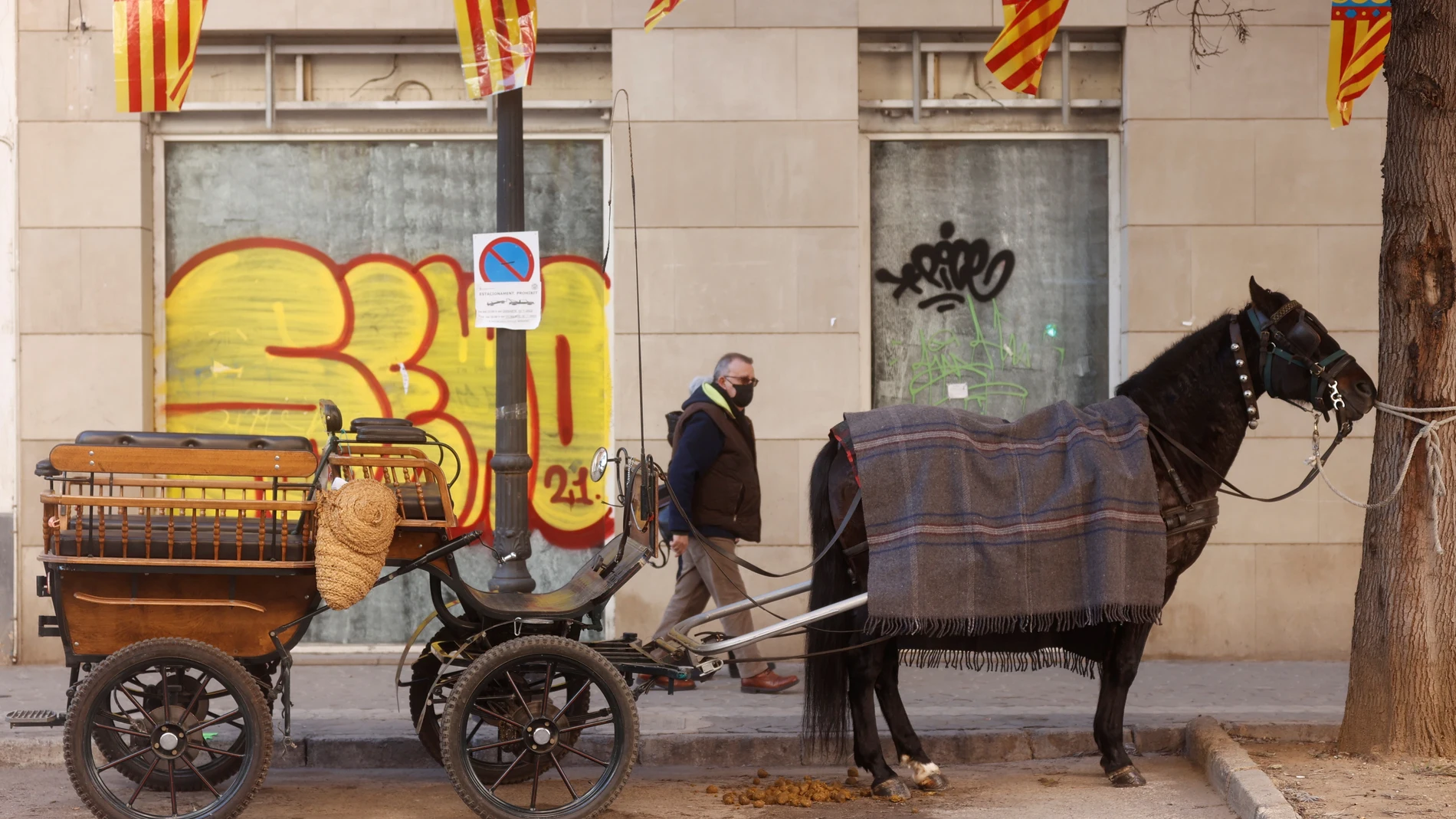 Detalle de un carruaje con su caballo atado a un árbol durante la tradicional bendición de animales de Sant Antoni que ha tenido lugar este domingo por la mañana