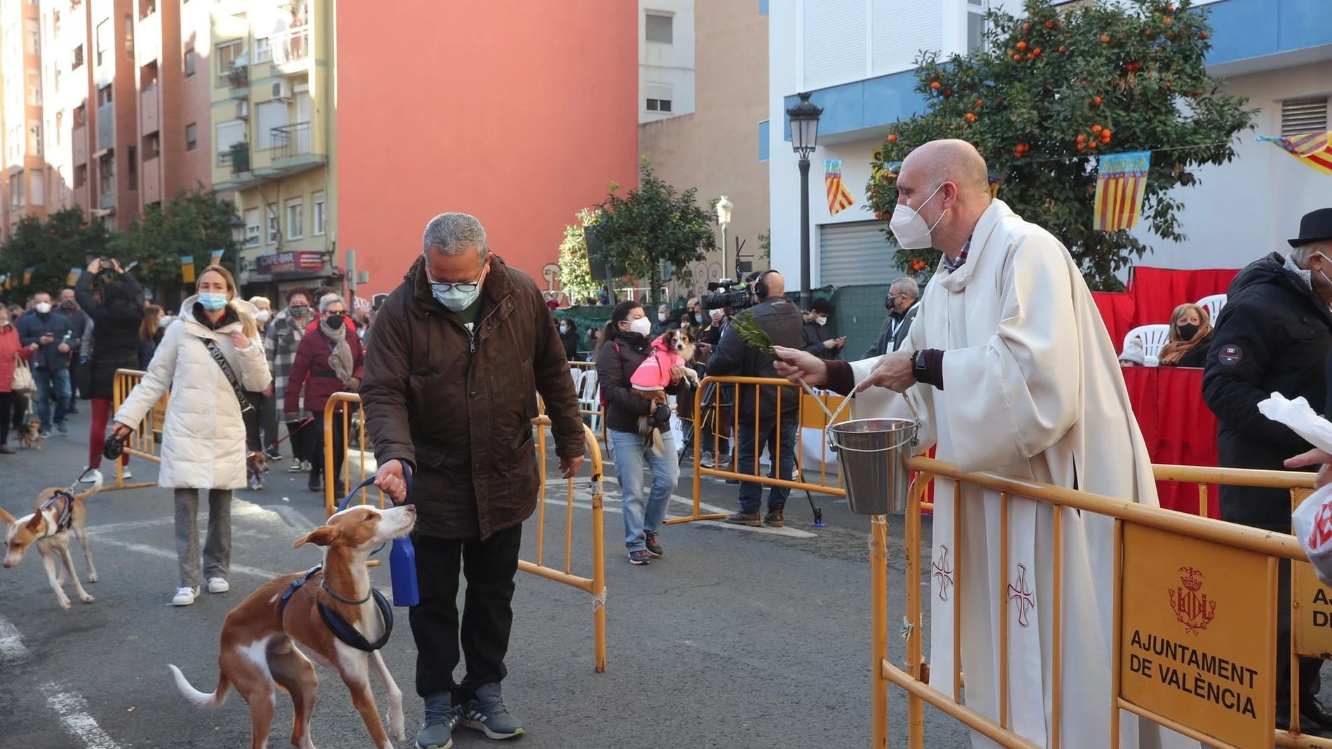 Bendición de animales por la festividad de San Antonio Abad en la calle Sagunt de València