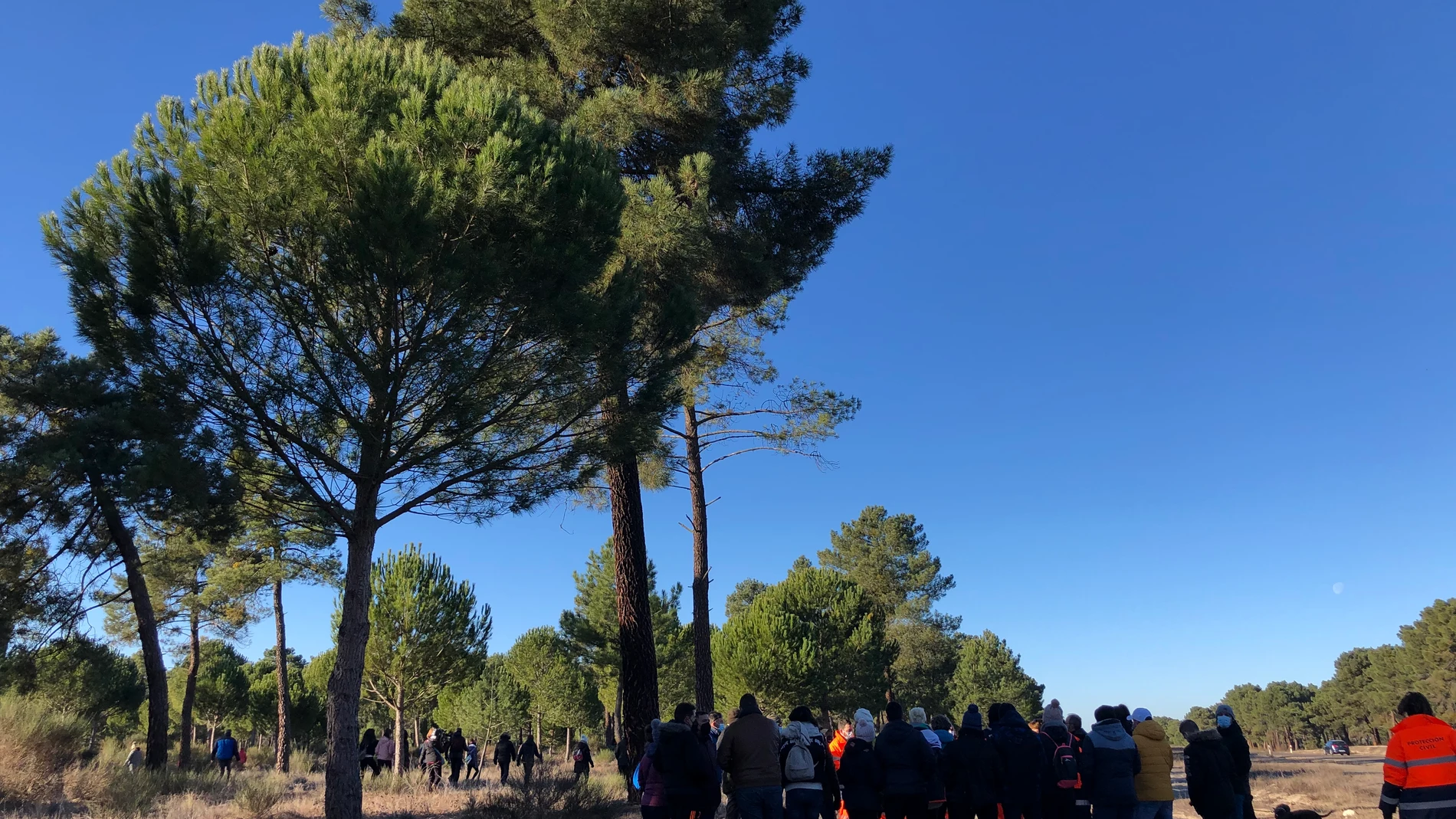 Batida de los vecinos para buscar a la joven desaparecida en Traspinedo (Valladolid)