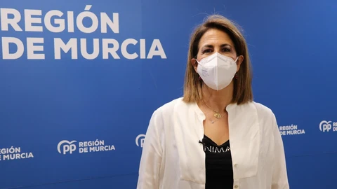La diputada nacional del PP, Isabel Borrego