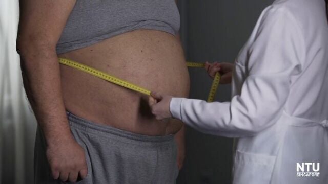 El experimento en ratones ha demostrado que han perdido 40 por ciento de grasa subcutánea, a pesar de tener una dieta alta en grasas