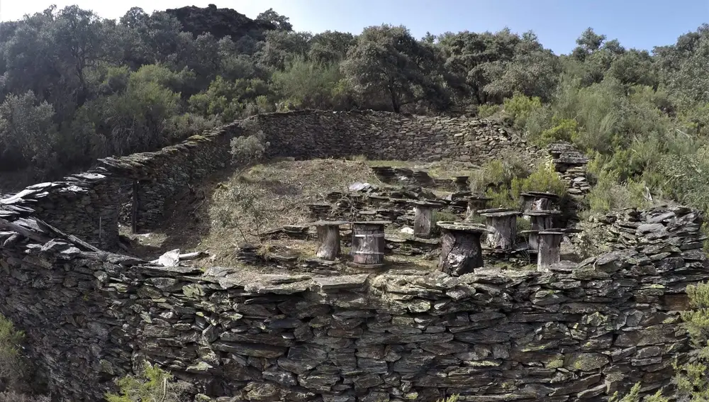 Conjunto de 17 cortines para proteger las colmenas de los ataques de osos hallados en la localidad berciana de Fonfr�a (Le�n)