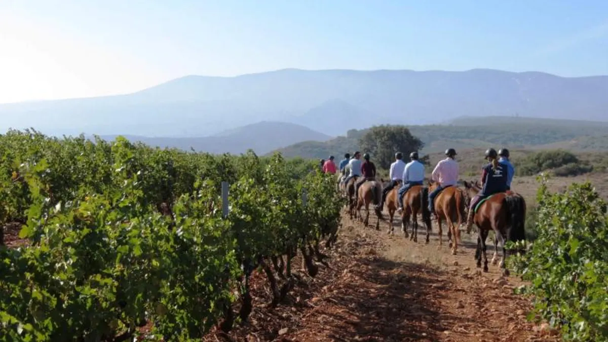 La conservación de paisajes vitivinícolas como recurso económico y turístico