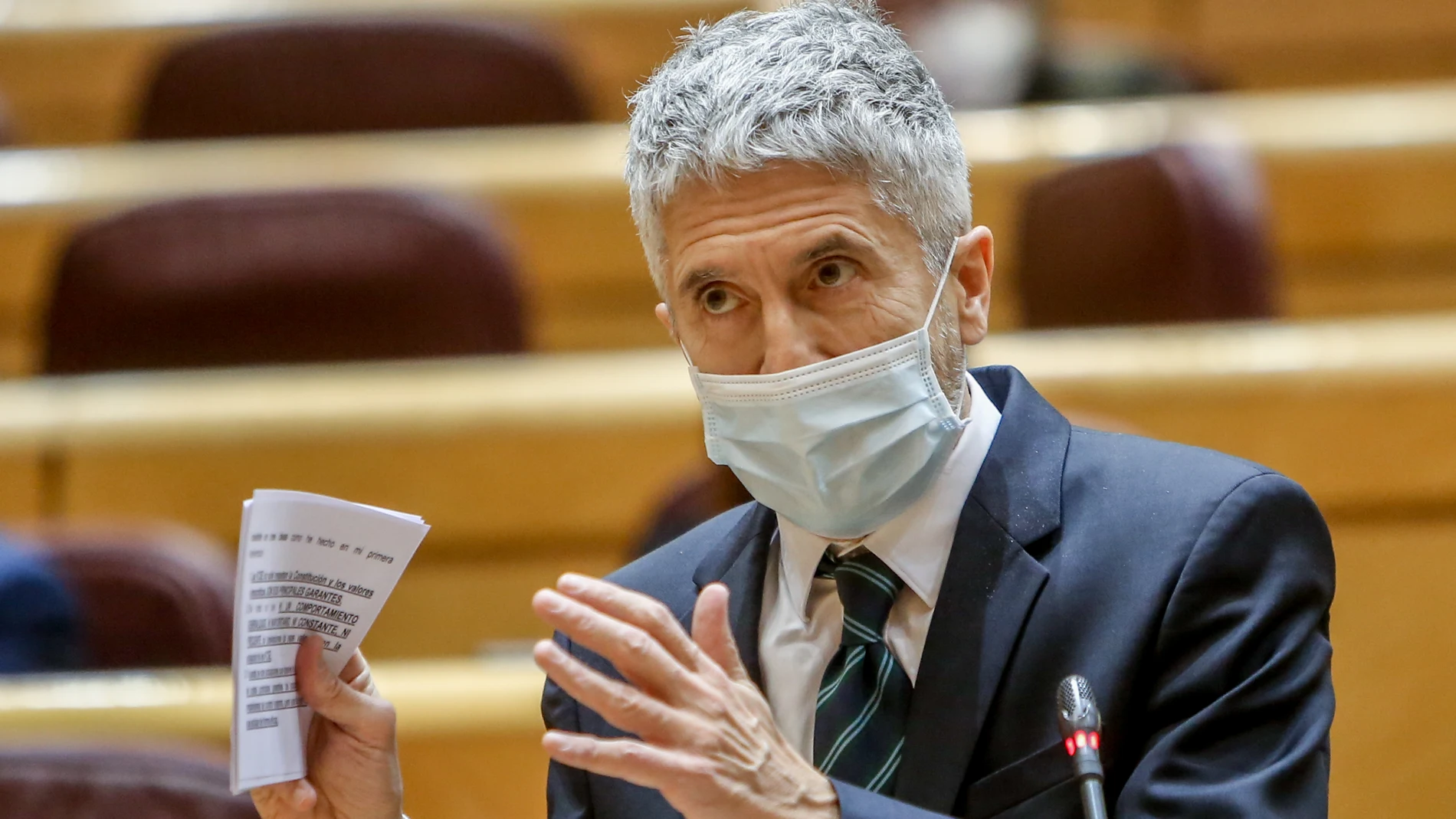 El ministro de Interior, Fernando Grande-Marlaska, interviene en una sesión de control al Gobierno, en el Senado, a 1 de febrero de 2022, en Madrid (España)