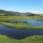 Urdaibai Bird Center (Bizkaia) celebra este domingo el Día Mundial de los Humedales