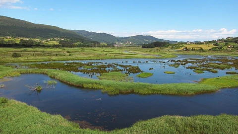 Urdaibai Bird Center (Bizkaia) celebra este domingo el Día Mundial de los Humedales