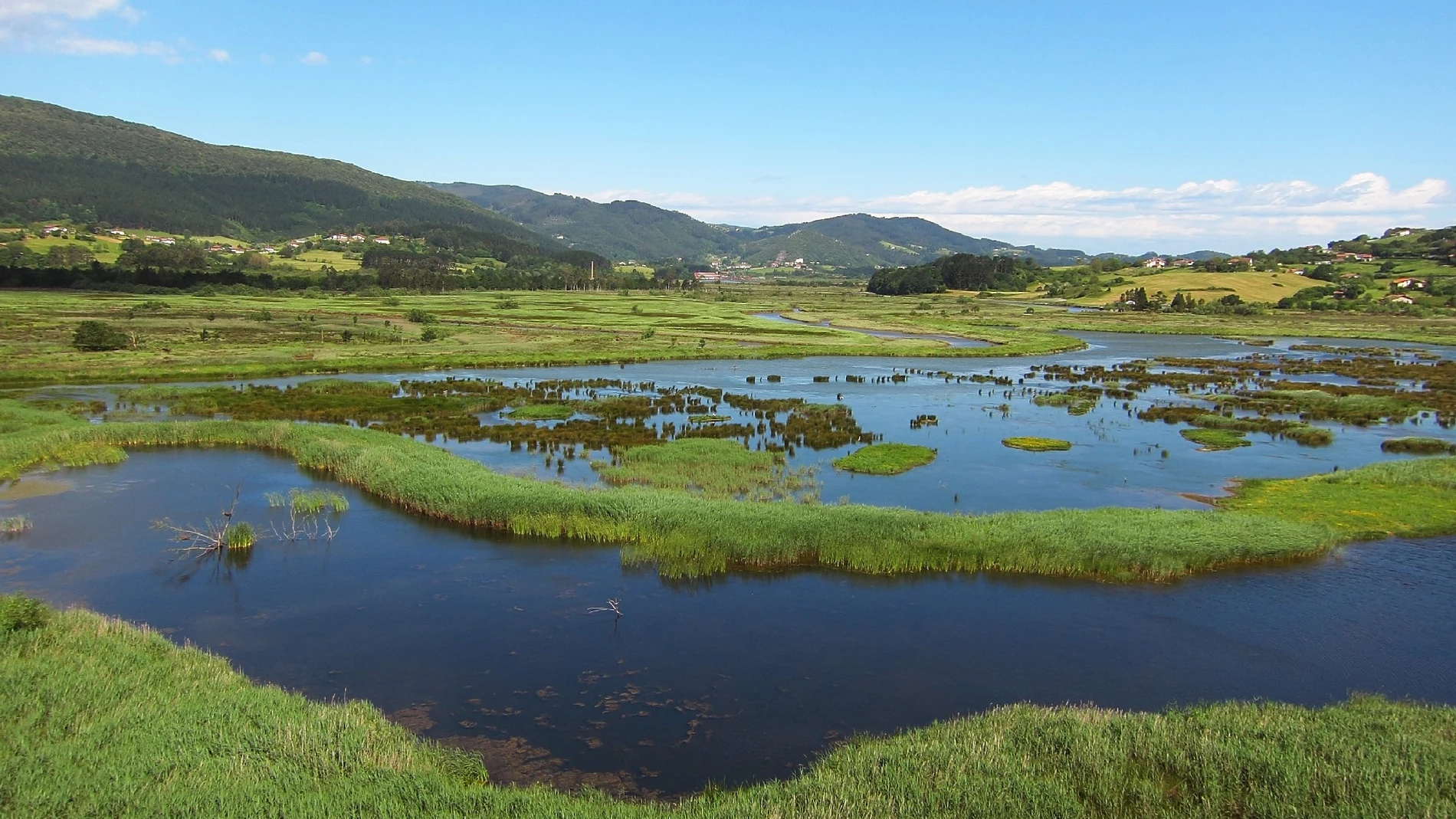 Urdaibai Bird Center (Bizkaia) celebra este domingo el Día Mundial de los Humedales