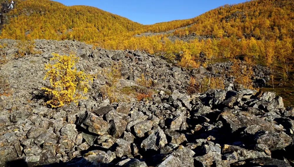 Enormes piedras (muchas de ellas más grandes que una persona) removidas por un glaciar anterior en el valle.