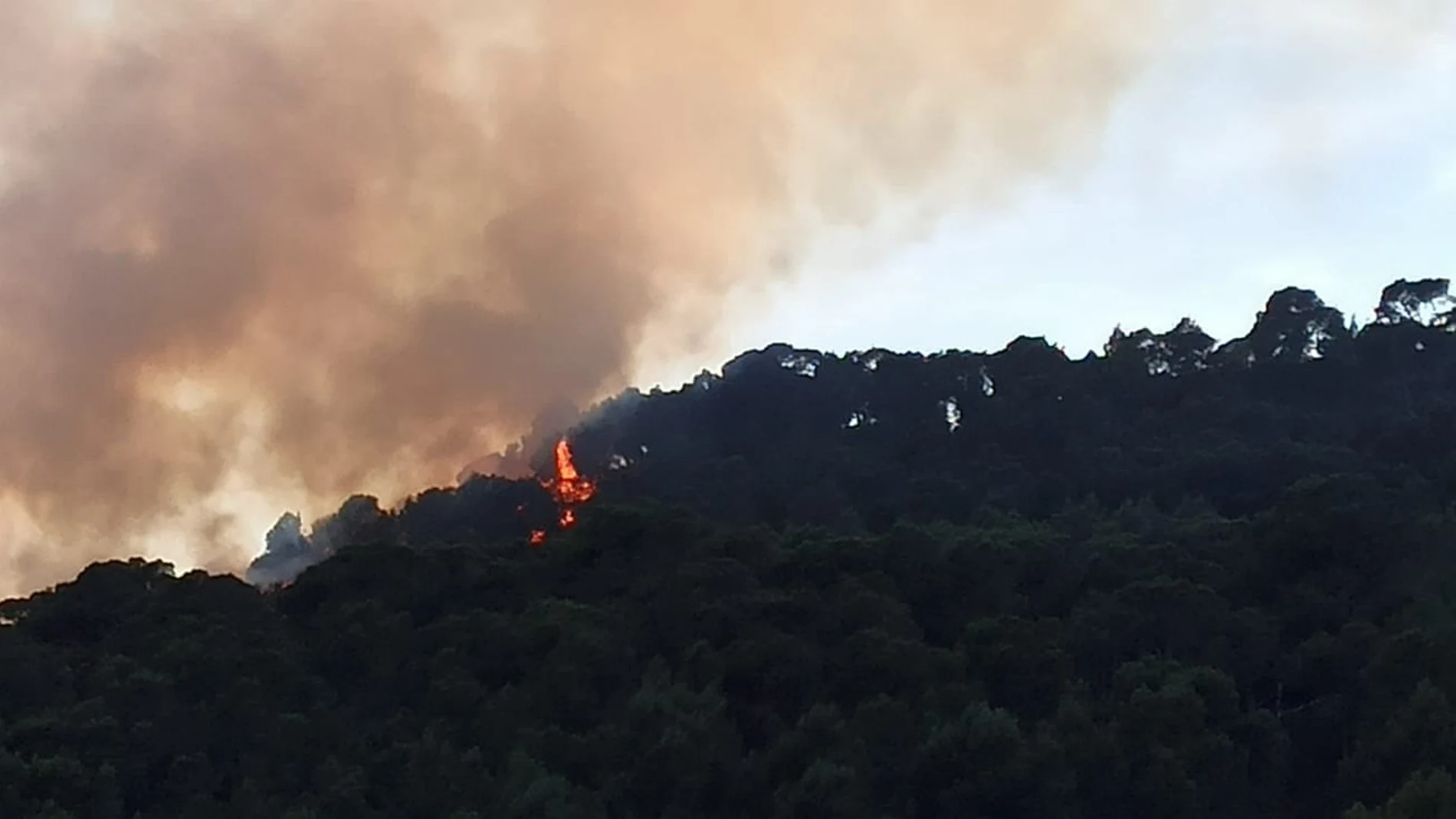 Imagen del incendio, declarado esta tarde