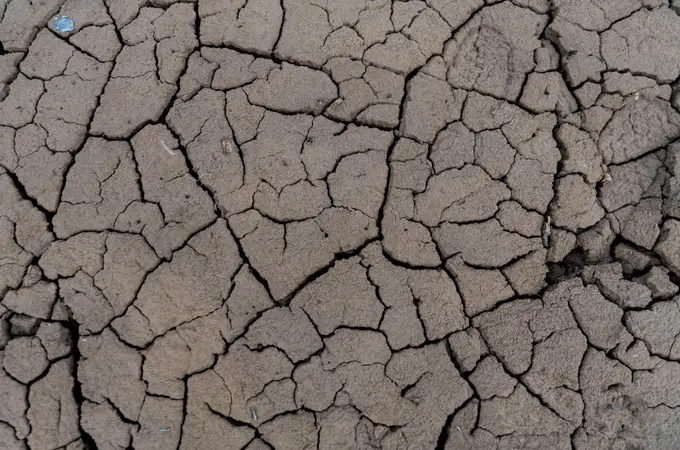 Estas han sido las cuatro peores sequías en España 