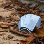 Una mascarilla tirada en el suelo entre hojas en el Parque del Retiro.