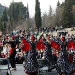 Granada celebra el primer domingo del mes de febrero la festividad de San Cecilio, patrón de la ciudad y lo hace con una romería en el Sacromonte, con una misa en su honor y bailes populares. EFE/Pepe Torres
