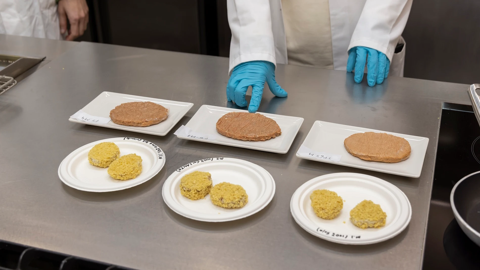 Investigación de Ainia