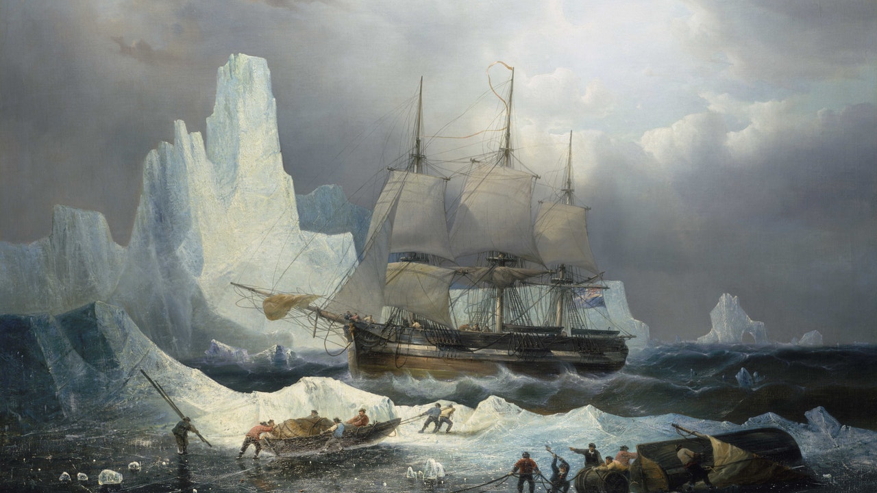 Remains of captain of “Cannibal Expedition” found in a tooth Remains of captain of “Cannibal Expedition” found in a tooth