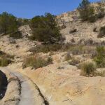 La Policía ha encontrado los cadáveres en el Barranco del Grifo, un enclave natural muy conocido en Elche