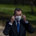 Felipe VI