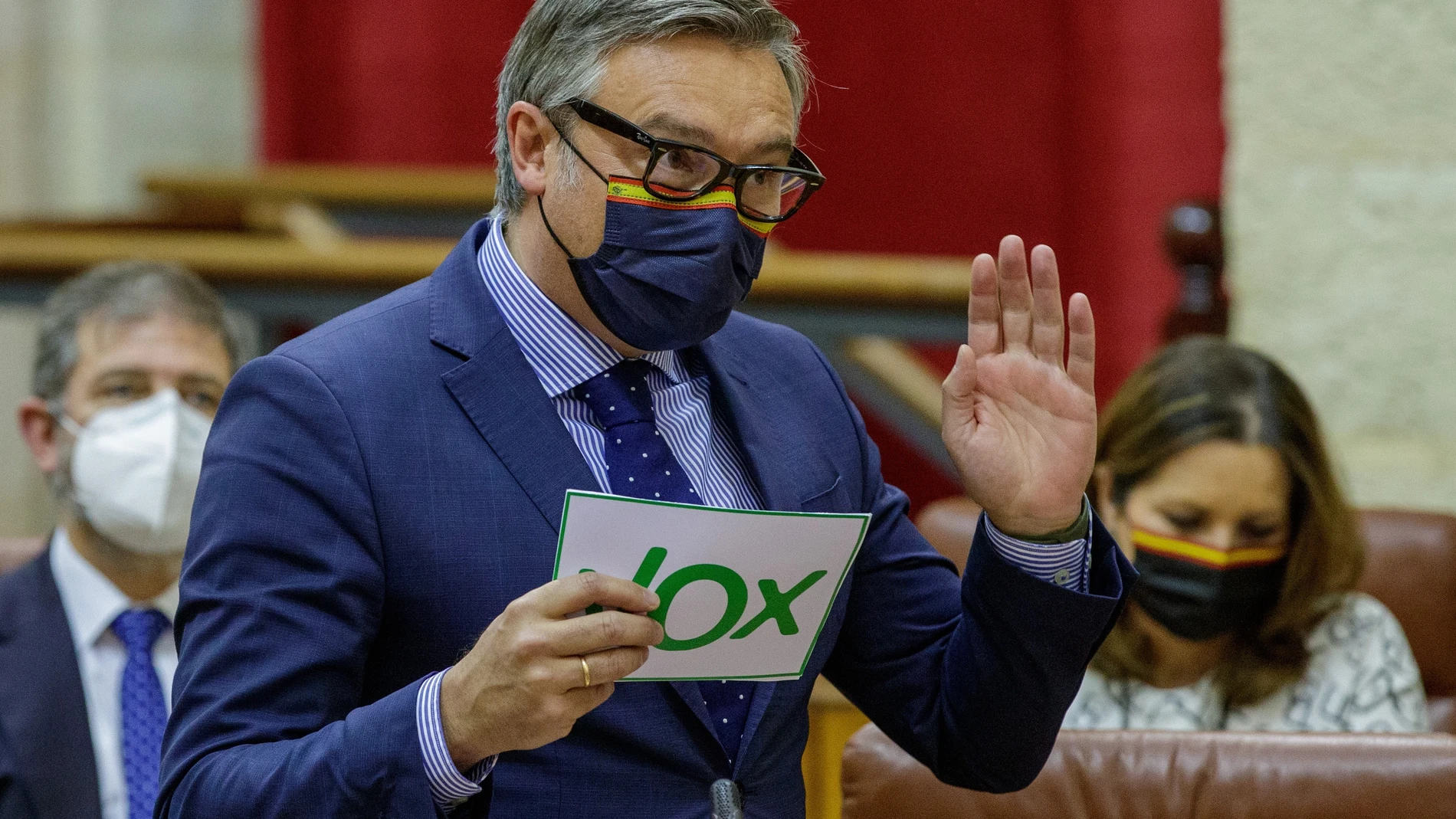El portavoz del grupo de Vox Andalucía, Manuel Gavira