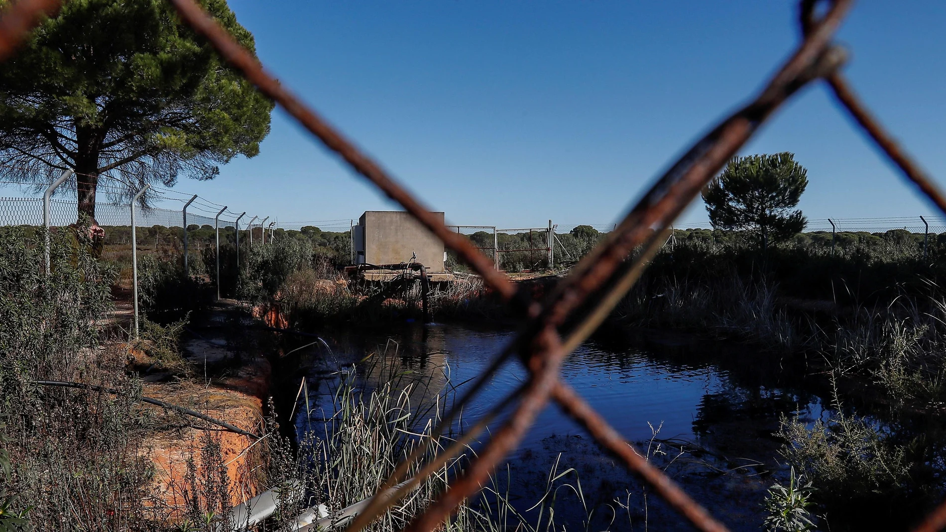 Balsa de riego ilegal construida cerca de un pozo ilegal. EFE/José Manuel Vidal