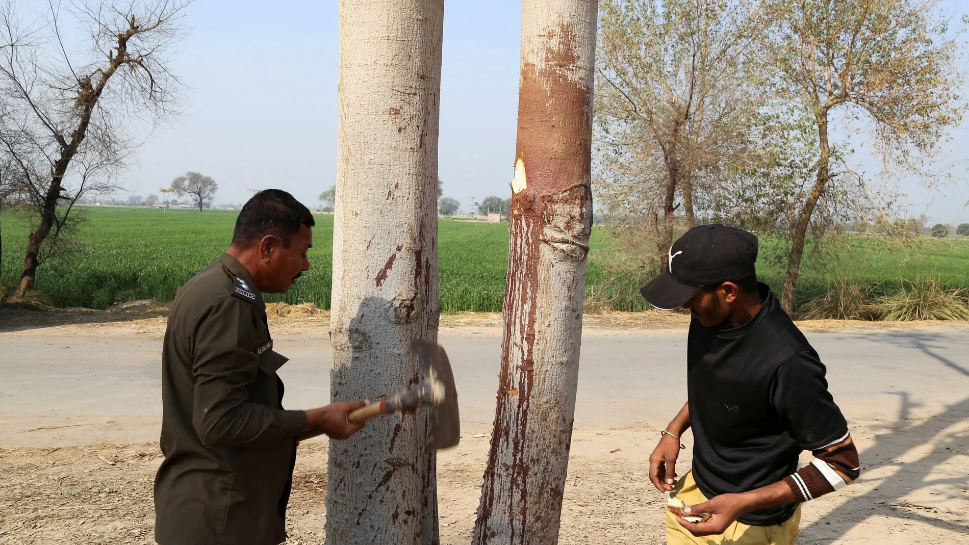 Agentes de policía en Pakistán reúnen pruebas de sangre en un árbol donde fue colgado un hombre