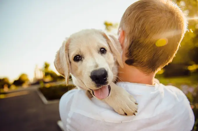 Los peligros para la salud de besar a nuestro perro en el hocico o la boca