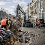 Empleados municipales retiran en Ámsterdam los árboles caídos por la tormenta "Eunice"