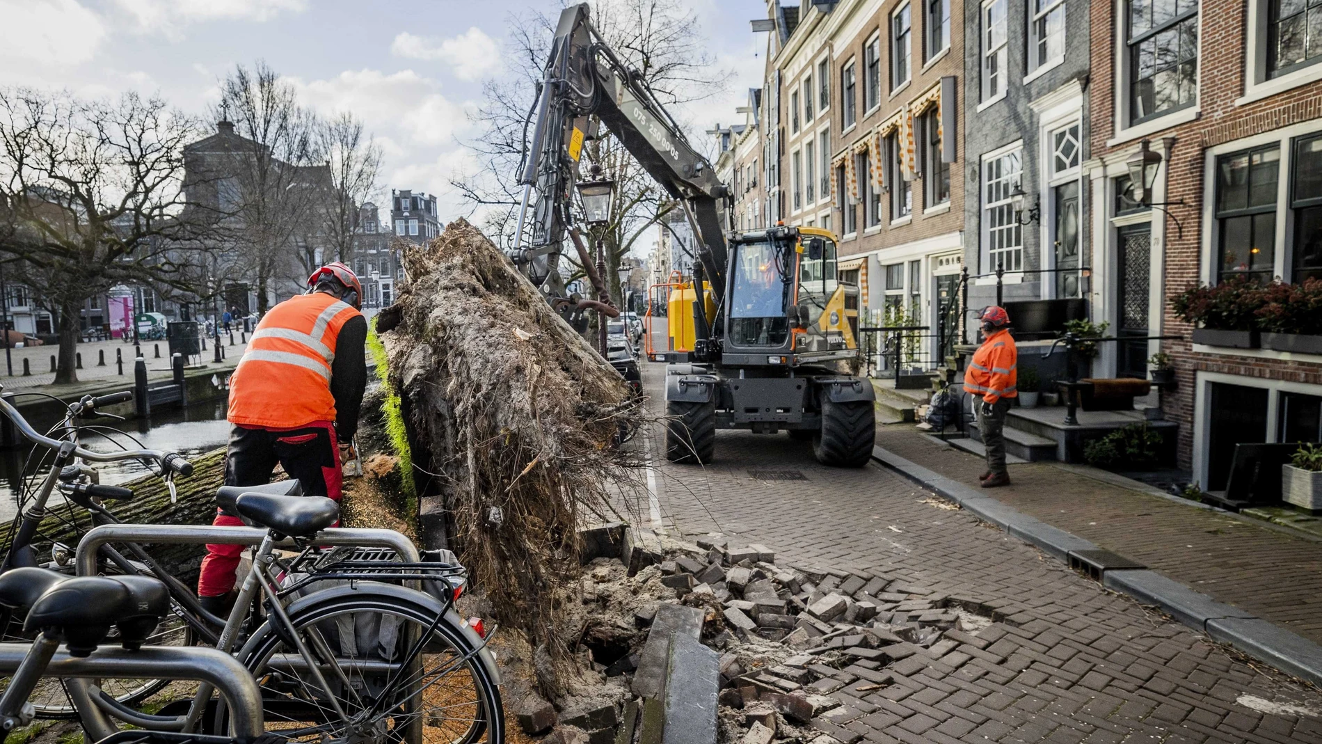 Empleados municipales retiran en Ámsterdam los árboles caídos por la tormenta "Eunice"