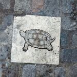 Tortuga que recueda la Fuente de los Galápagos