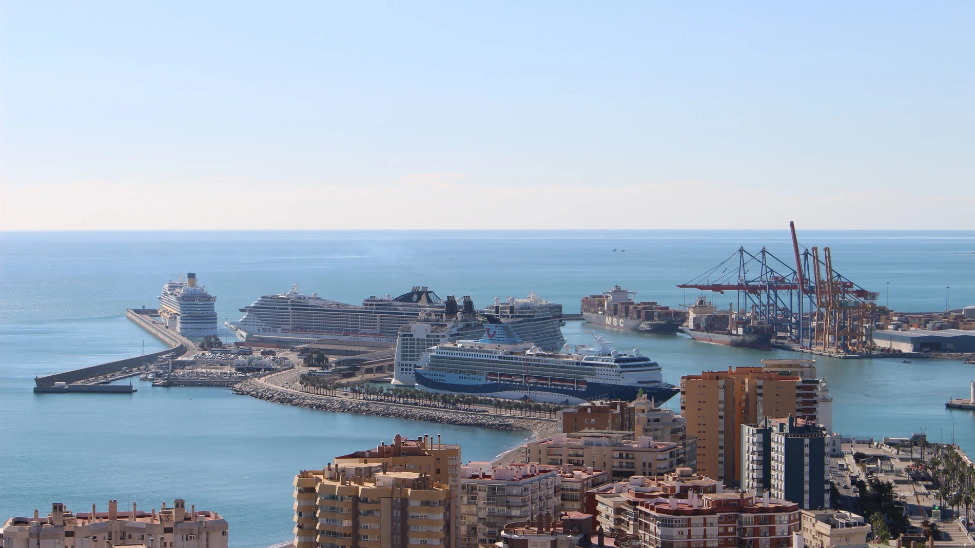 La cocaína se introducía por el Puerto de Málaga en contenedores de fruta