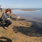 La eurodiputada letona de los verdes y presidenta de la delegación de la Comisión de Peticiones del Parlamento Europeo que conoce el problema ambiental del Mar Menor, Tatjana Zdanoka, observa el fango del Mar Menor, en la playa de Los Urrutias junto al puerto deportivo. EFE/Marcial Guillén