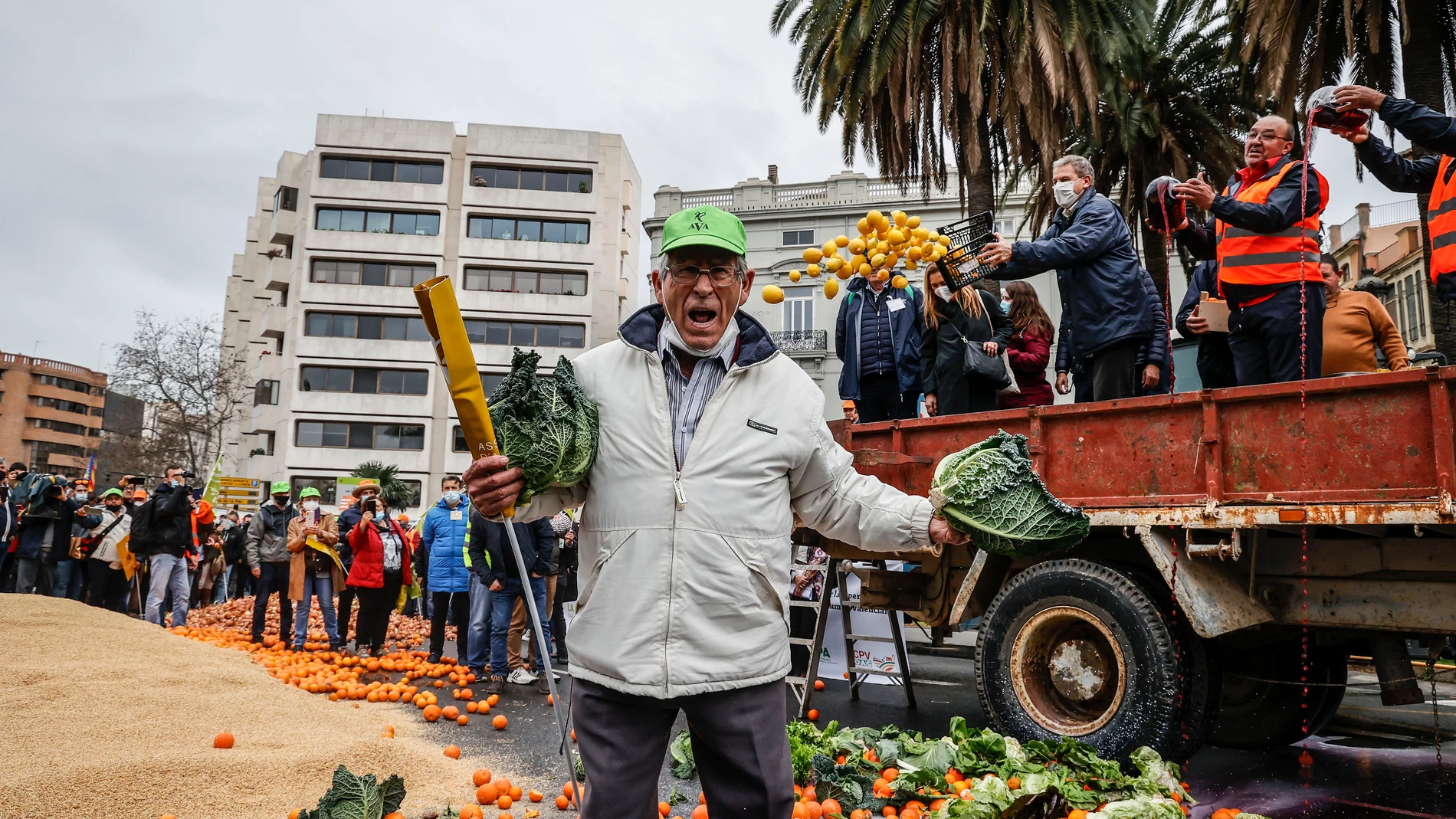 Varios agricultores tiran coles y naranjas como protesta, en una concentración por la “supervivencia” del campo valenciano el pasado mes de febrero