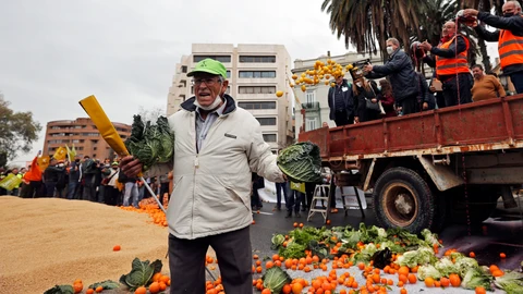 Un agricultor sujeta unas coles durante la protesta de agricultores a su llegada a la Delegación del Gobierno convocada por las principales organizaciones agrarias y cooperativas para denunciar la crítica situación de los productores y reclamar la supervivencia del campo valenciano