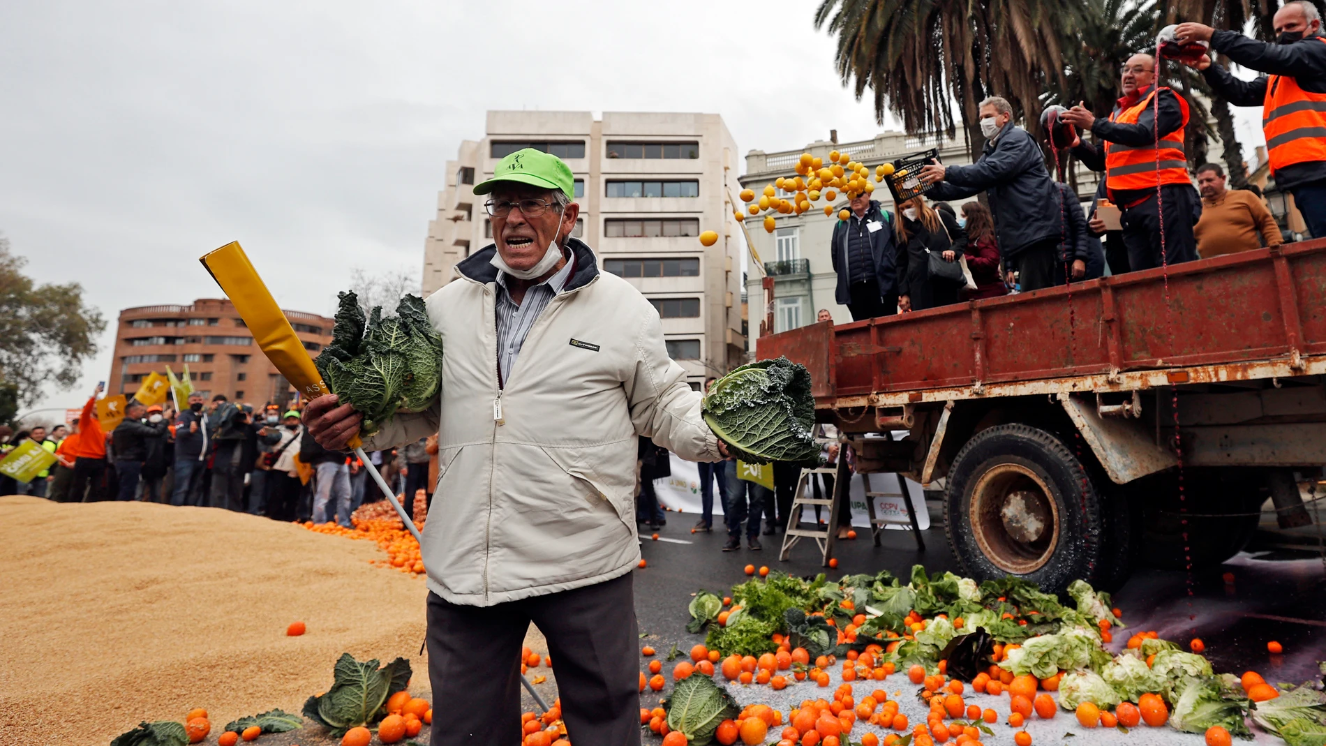 Un agricultor sujeta unas coles durante la protesta de agricultores a su llegada a la Delegación del Gobierno convocada por las principales organizaciones agrarias y cooperativas para denunciar la crítica situación de los productores y reclamar la supervivencia del campo valenciano