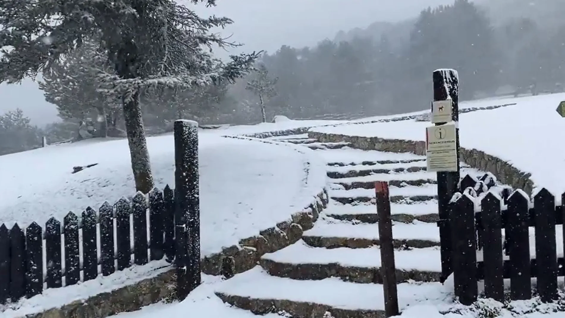 Imagen de nieve en la Sierra