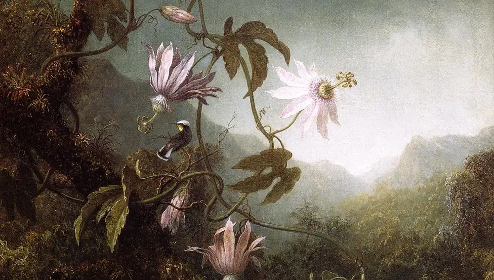 Cuadro de Martin Johnson Heade titulado &quot;Hummingbird Perched near Passion Flowers&quot;