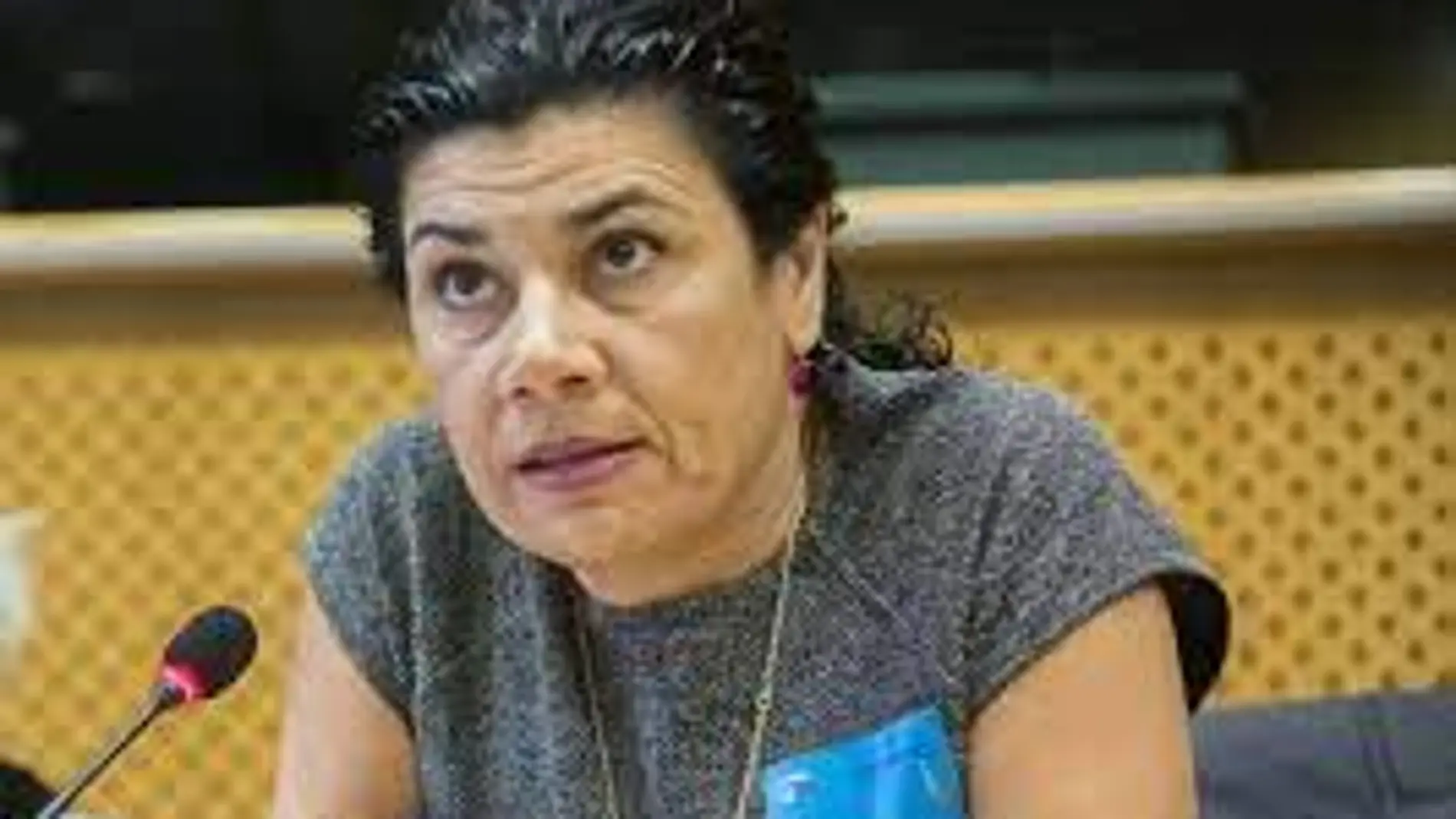 La presidenta de la Asamblea por la Educación Bilingüe, Ana Losada