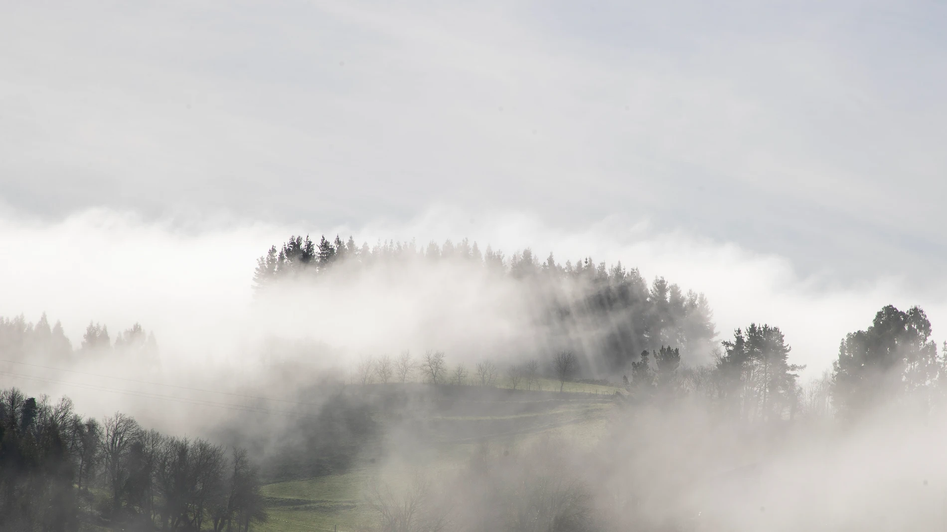 La niebla se cierne sobre los bosques de Becerra en Lugo
