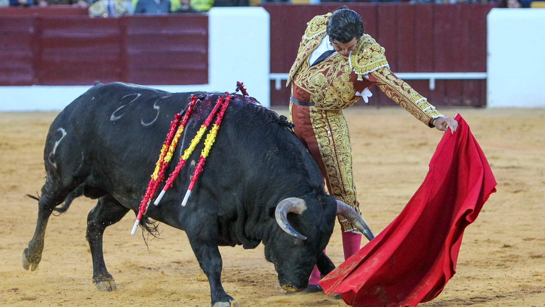 OLIVENZA(BADAJOZ), 05/03/2022.-Morante de la Puebla en la lidia de su segundo toro de la ganadería de Zaluendo, este sábado en la Feria de Olivenza, que celebra su 31 edición tras el parón de los dos años anteriores por la pandemia.- EFE/ Jero Morales
