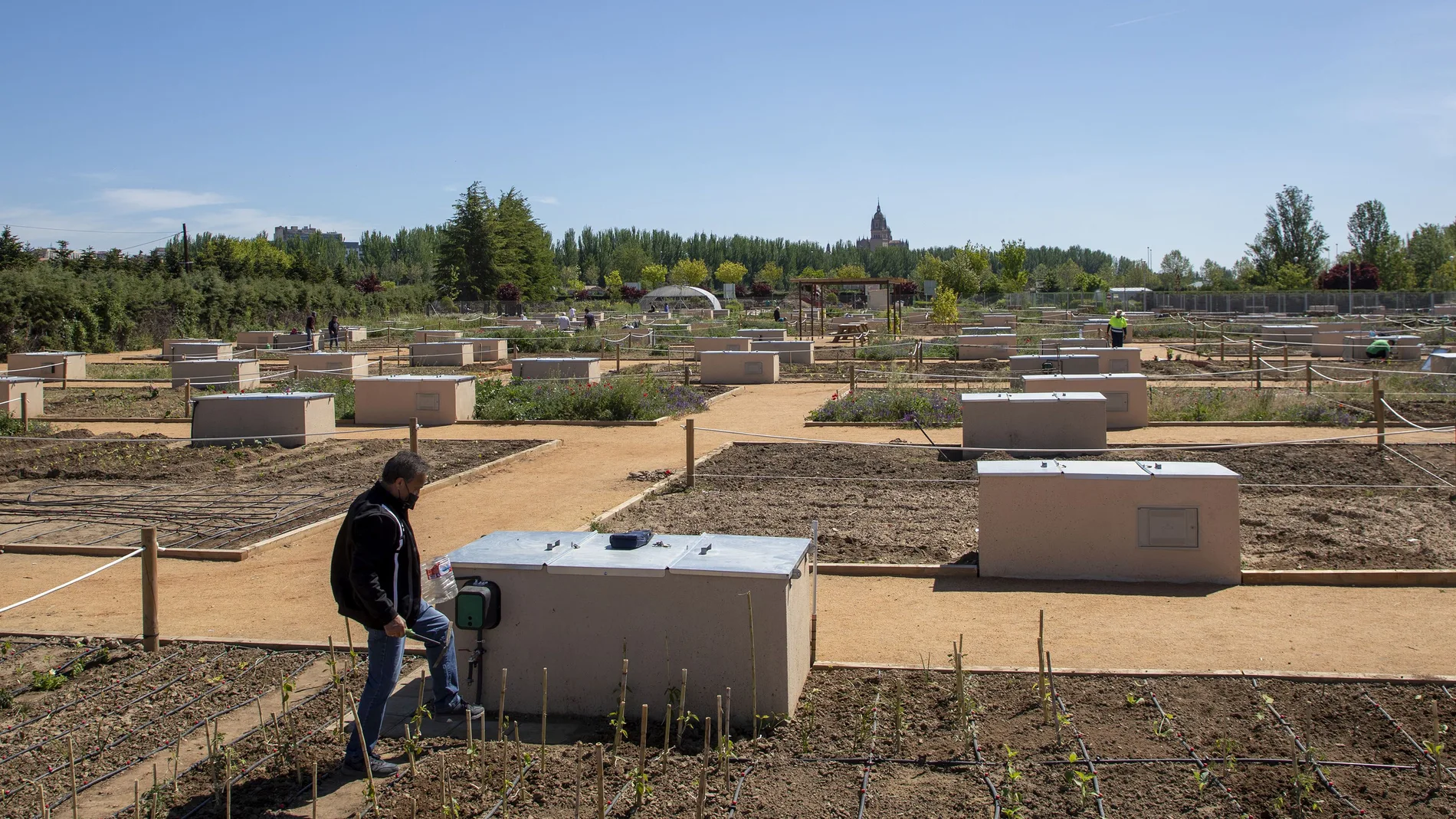 Salamanca aprovechará el agua del Tormes para economizar el consumo en los huertos urbanos