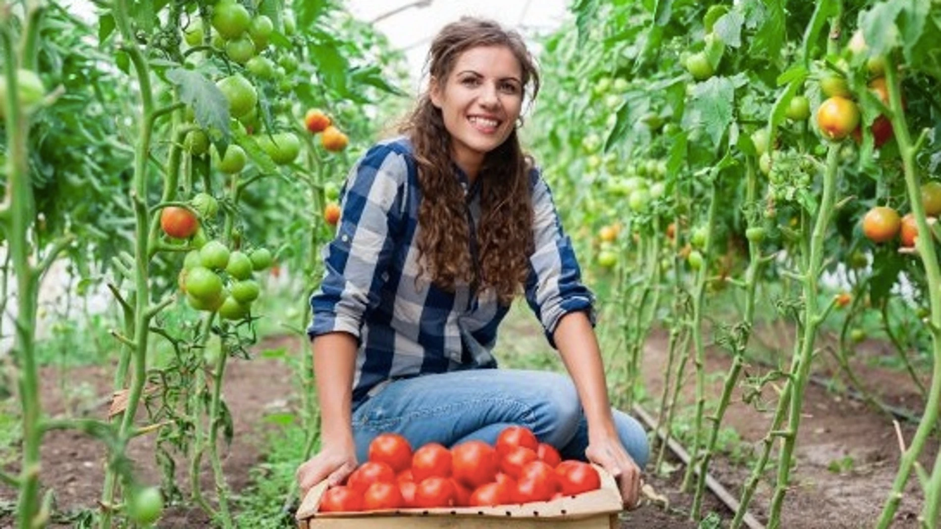 ASAJA Murcia felicita a la Mujer Rural, gran emblema del "buen hacer" del campo murciano