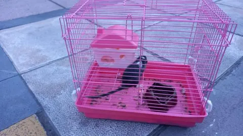 Abandonan un animal dentro de una jaula junto a un contenedor en el barrio de la Rochapea