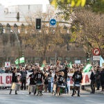 Unas 3.000 personas, la mayoría vecinas de Nerva (Huelva), se han concentrado este jueves a las puertas del Parlamento de Andalucía en Sevilla para pedir que cese la actividad del vertedero de residuos tóxicos de la localidad. EFE/ Raúl Caro.