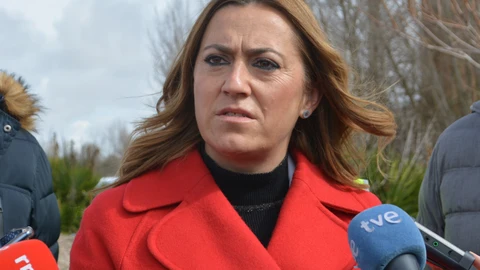 La delegada del Gobierno en Castilla y León, Virginia Bárcones, atiende a los medios de comunicación
