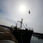 Embarcaciones de pesca paradas en el puerto de La Coruña debido al elevado precio del combustible