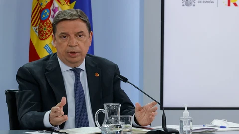 El ministro de Agricultura, Pesca y Alimentación, Luis Planas