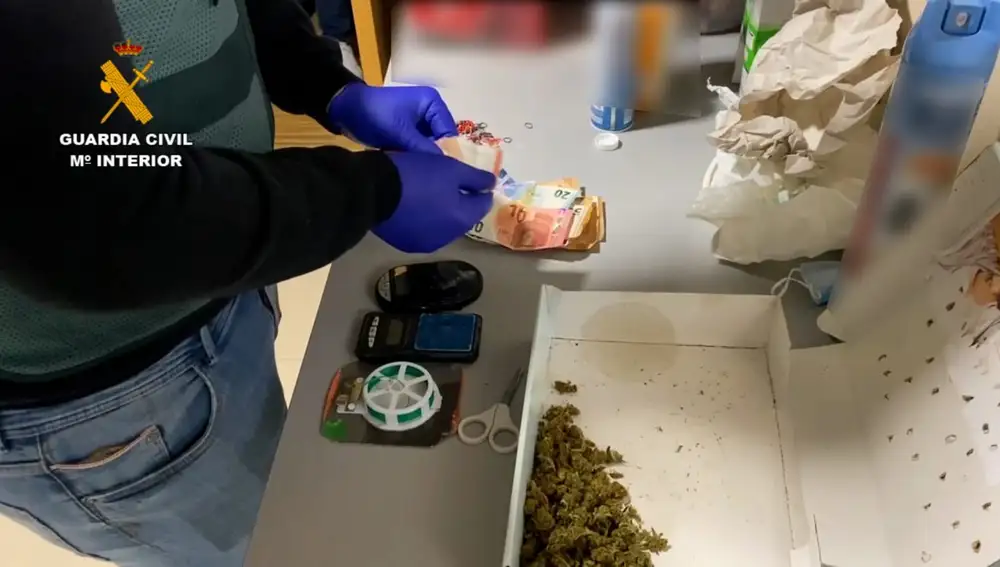 Detenidas 17 personas de una banda criminal dedicada al menudeo de droga que operaba en Salamanca, Zamora y Toledo