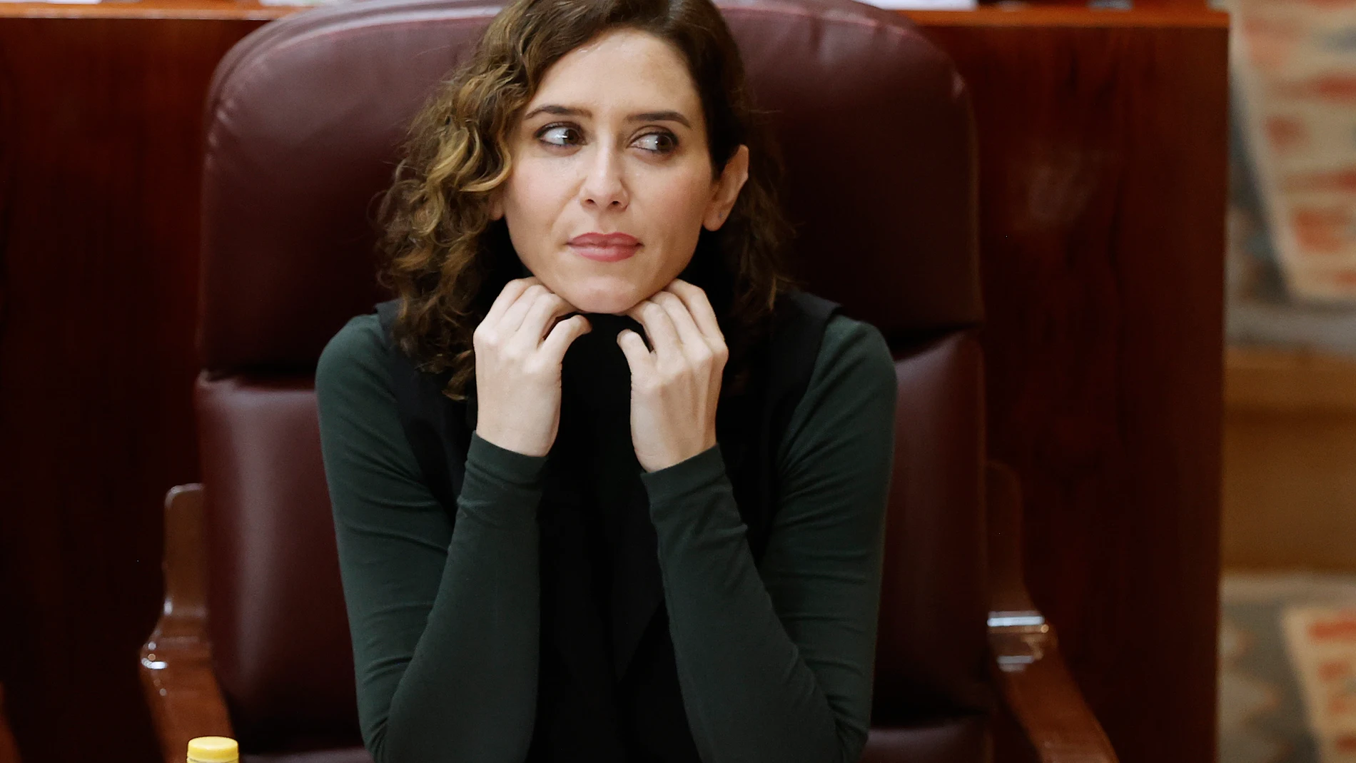 La presidenta de la Comunidad de Madrid, Isabel Díaz Ayuso
